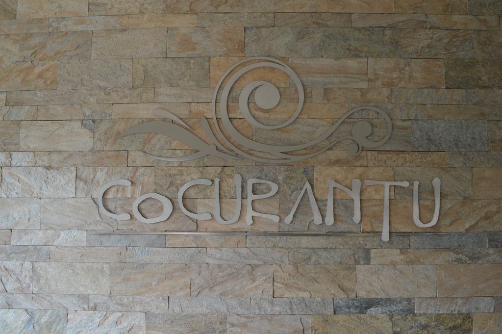 Cocurantu Hotel Boutique Pucon Exterior photo
